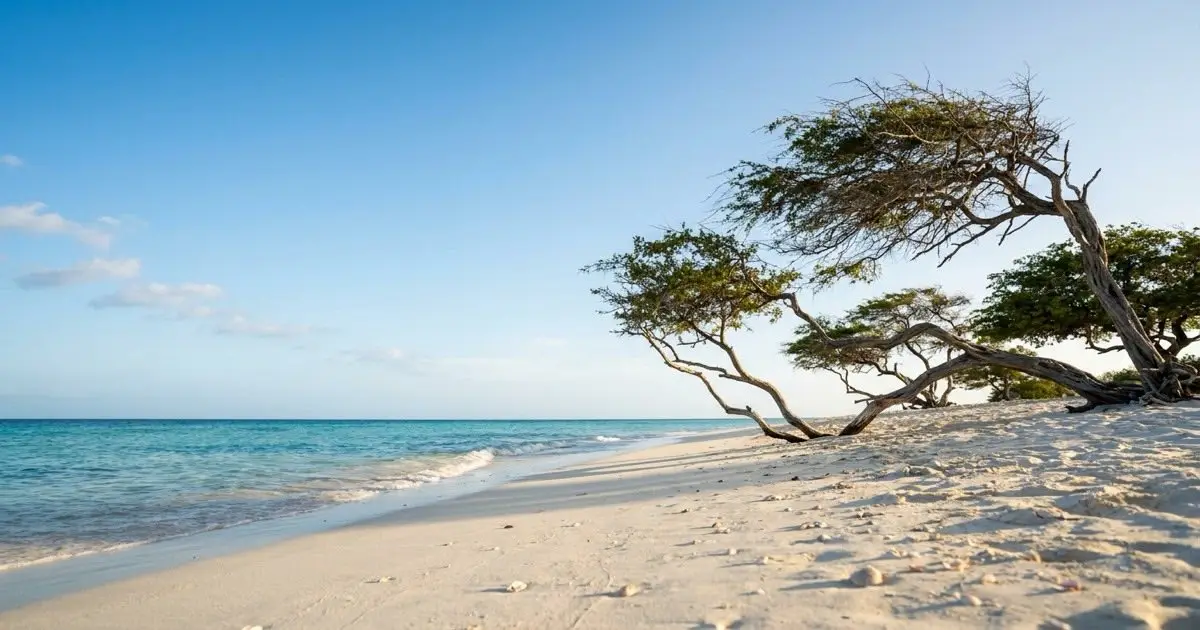 Aruba — travel eSIM by esimbloom