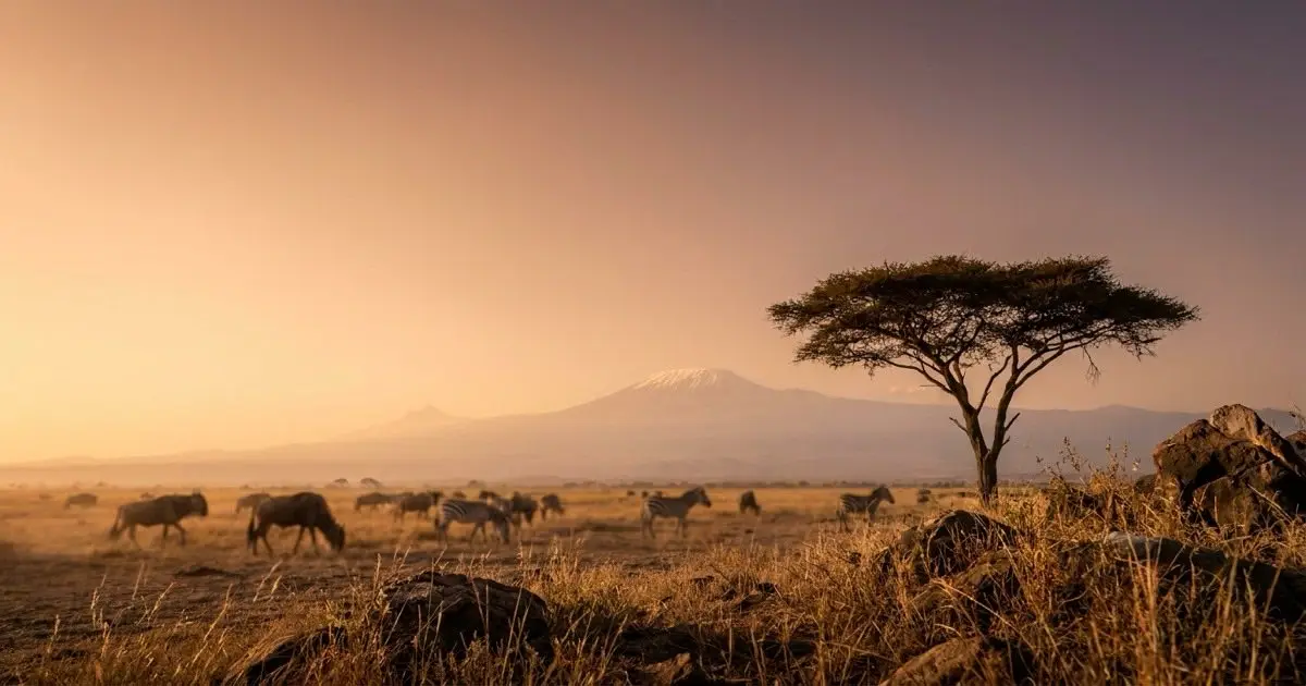 Tanzania — travel eSIM by esimbloom
